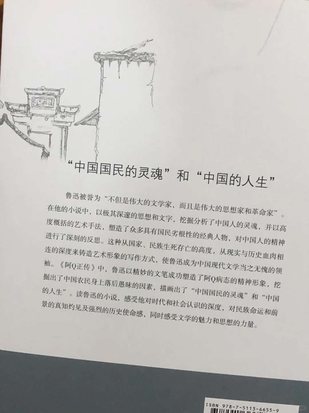 《阿Q正传》——鲁迅笔下的“精神胜利法”💭
