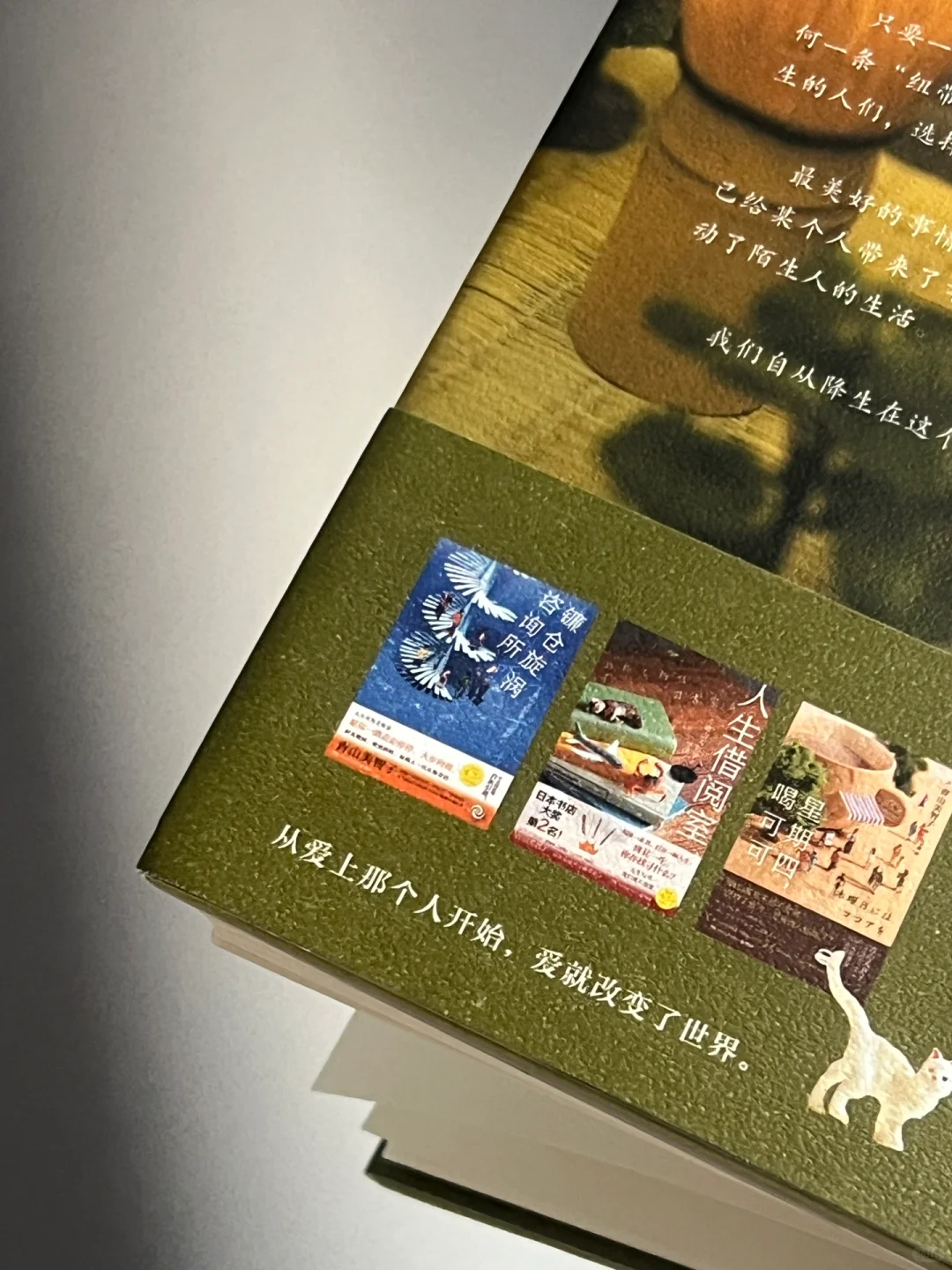 被朋友疯狂安利的温暖治愈书单！