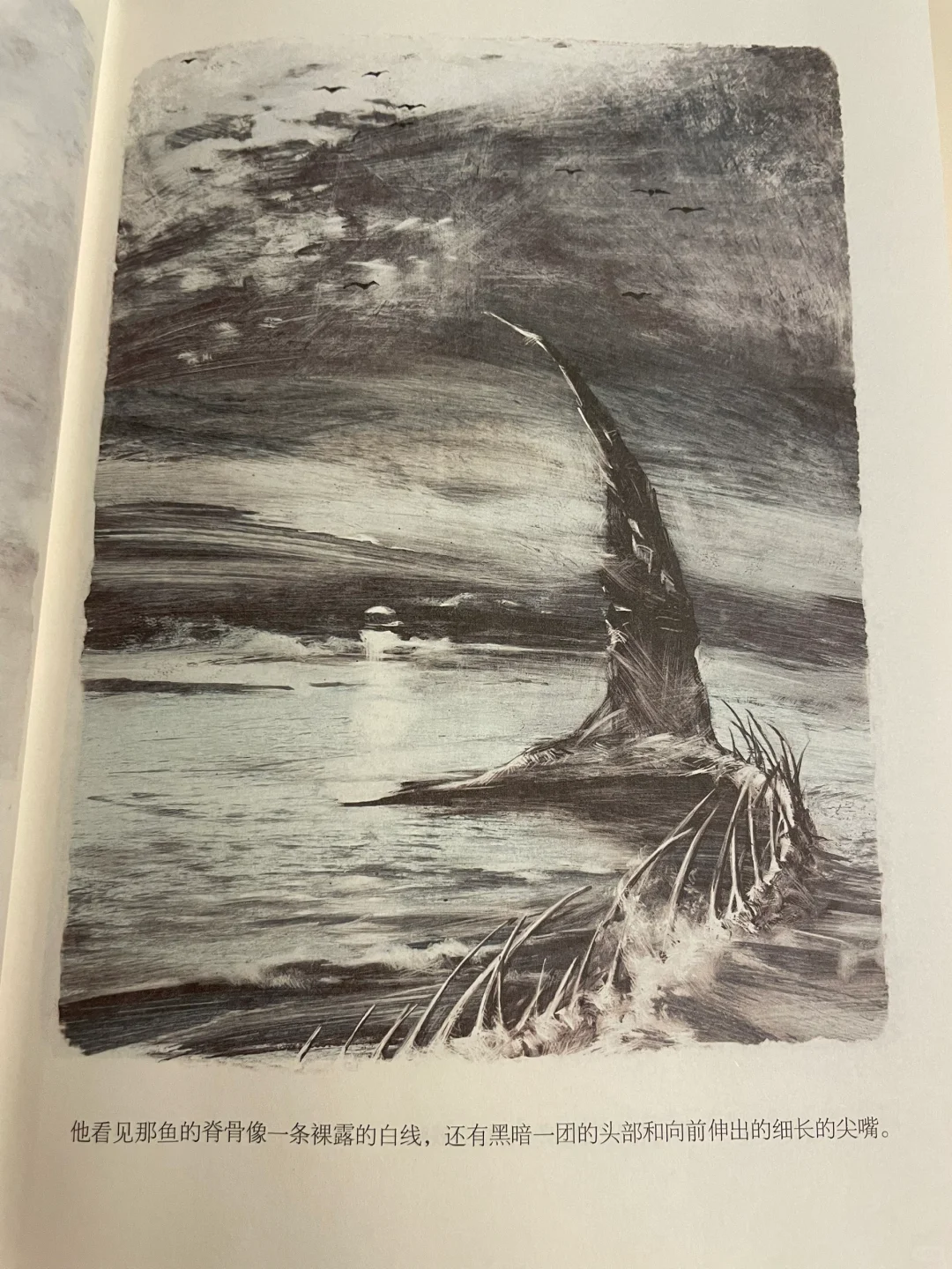 《老人与海》 美·海明威