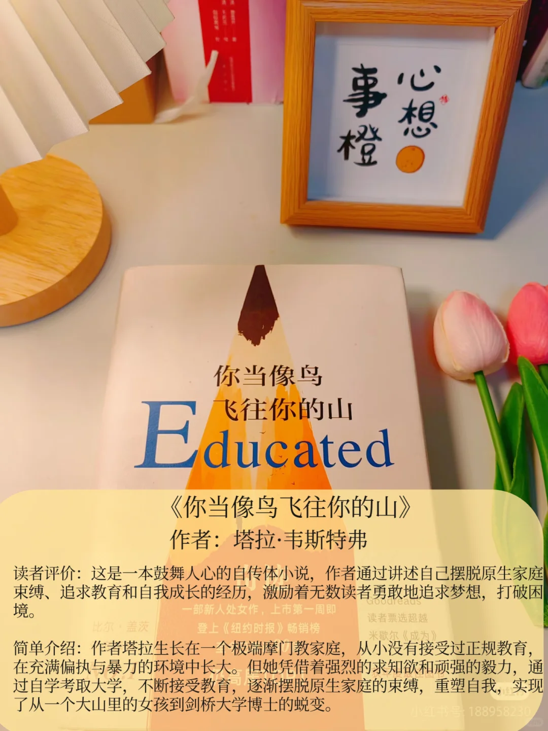 📖8本超级好看小说，专治不爱看书！💥