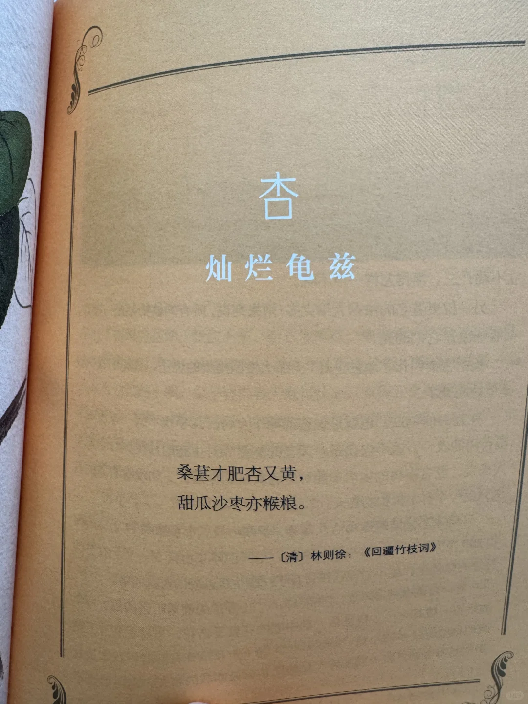 📖鲁迅文学奖获奖作品《丝路植物》read～