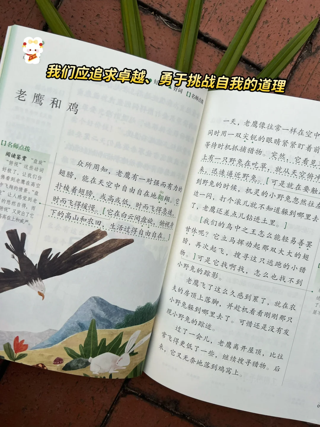 语文老师要求必读书籍