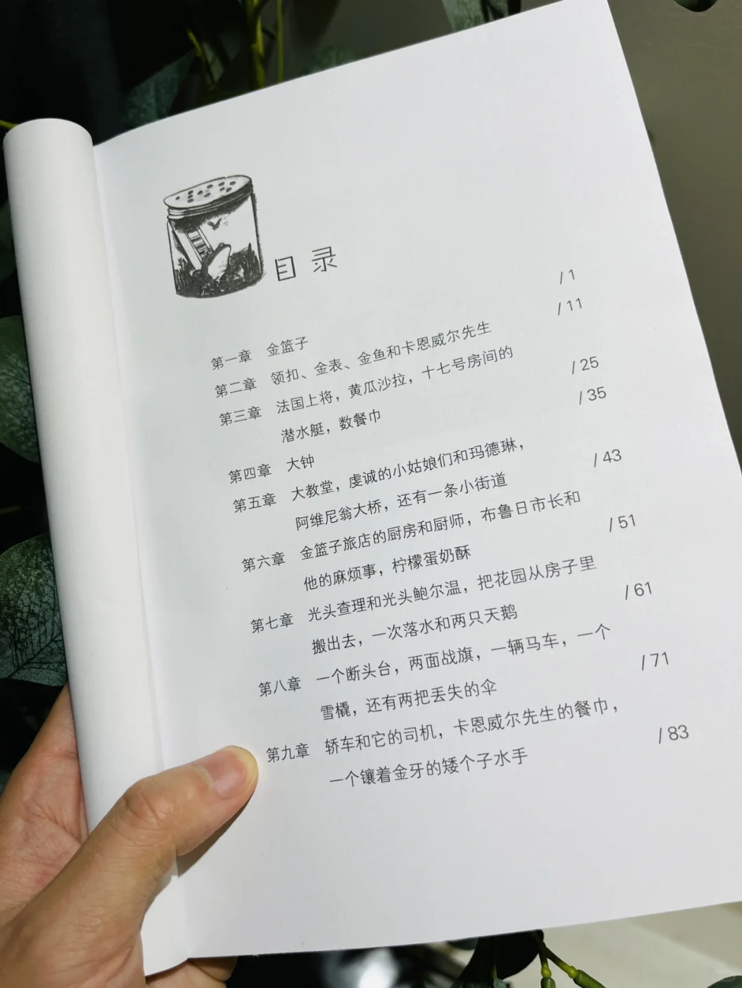 《纽伯瑞儿童文学奖获奖作品》（5册）