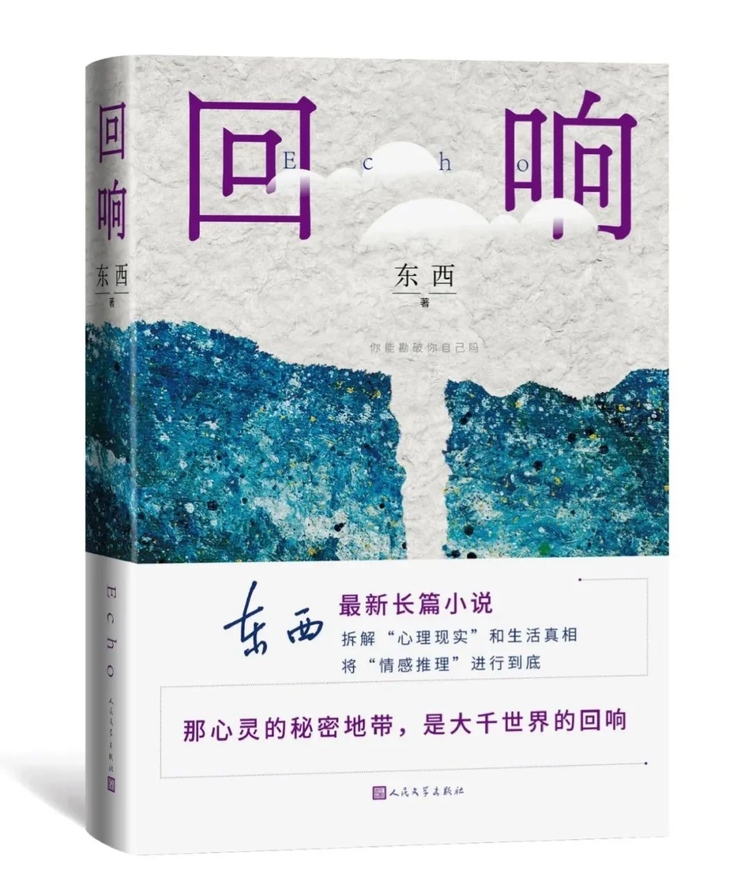 《回响》东西烛｜茅盾文学奖获奖作品系列