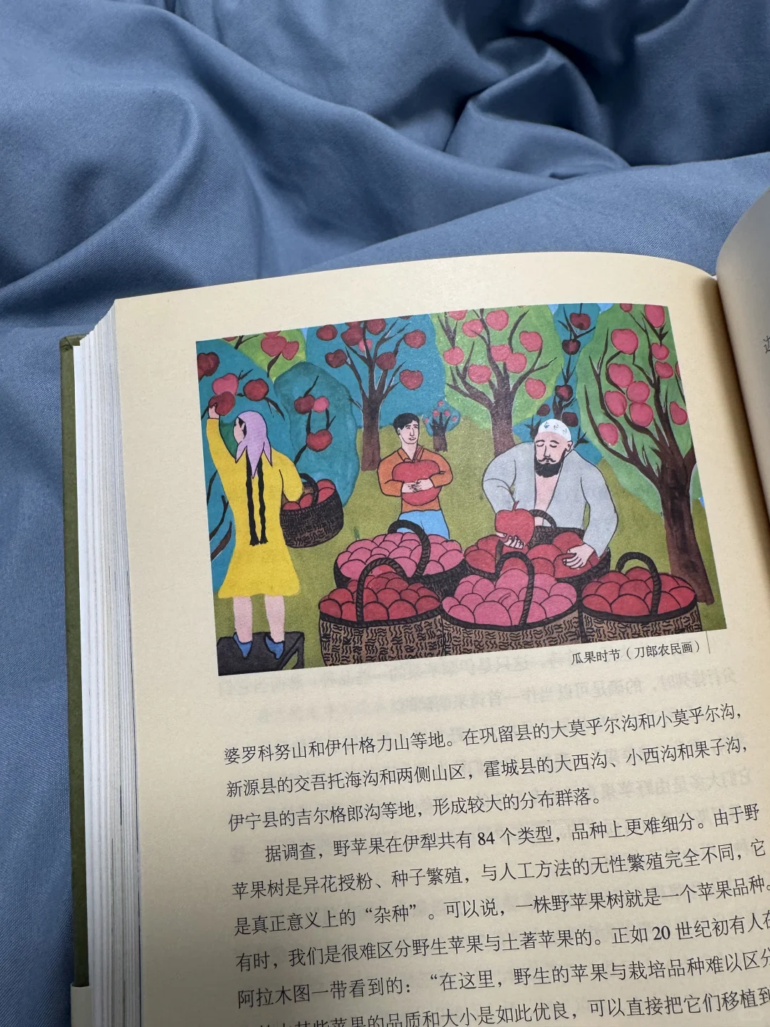 📖鲁迅文学奖获奖作品《丝路植物》read～