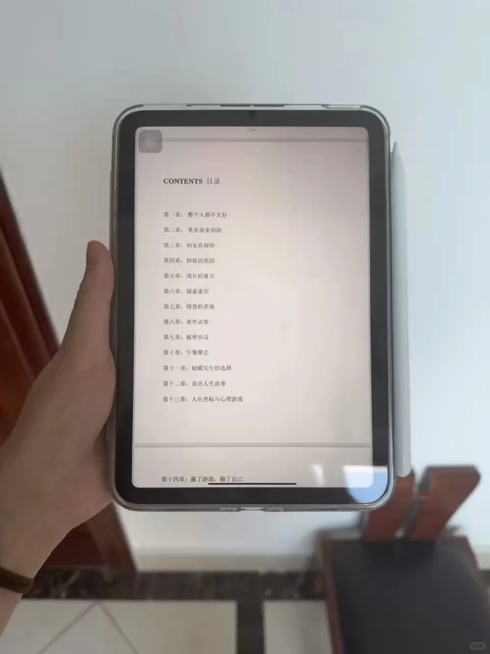 电子书资源太丰富了！ipad实现电子书自由
