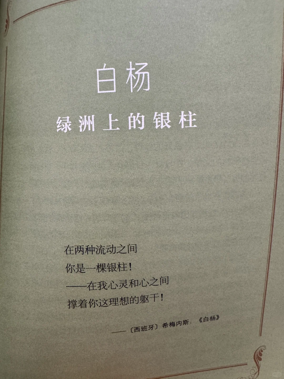 📖鲁迅文学奖获奖作品《丝路植物》read～
