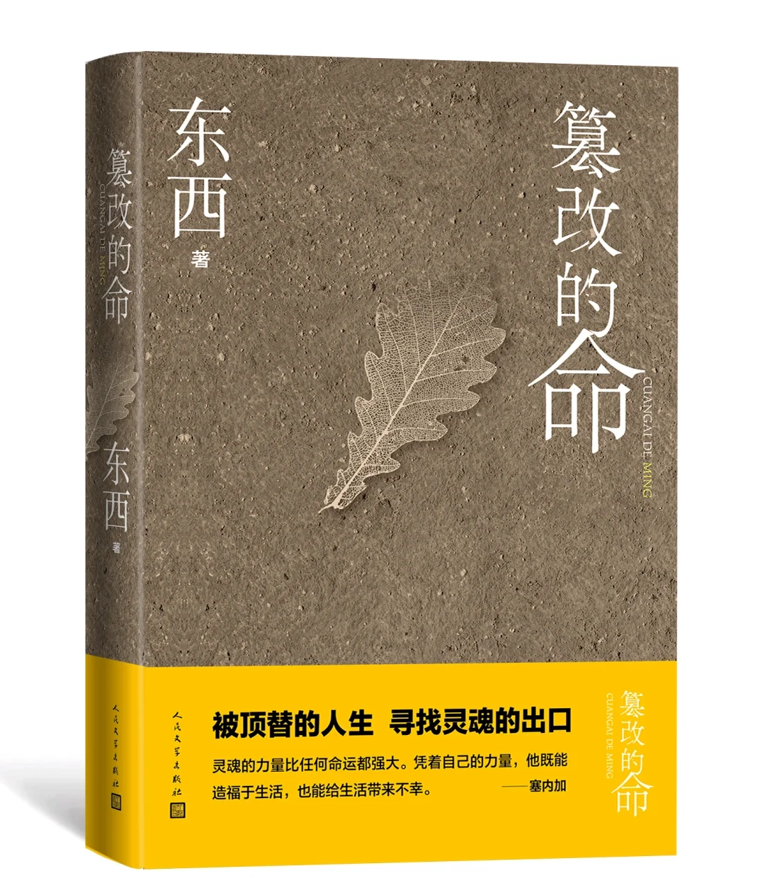 《回响》东西烛｜茅盾文学奖获奖作品系列