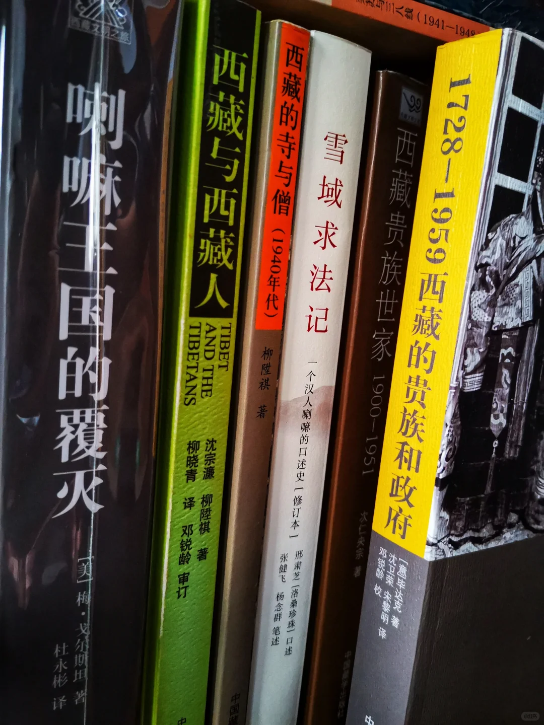 周末档|贵族与神权政治一瞥