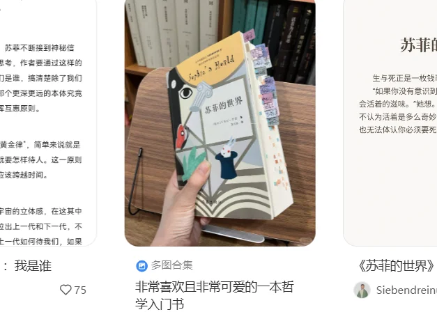 苏菲的世界 电子版，epub，文件直发
