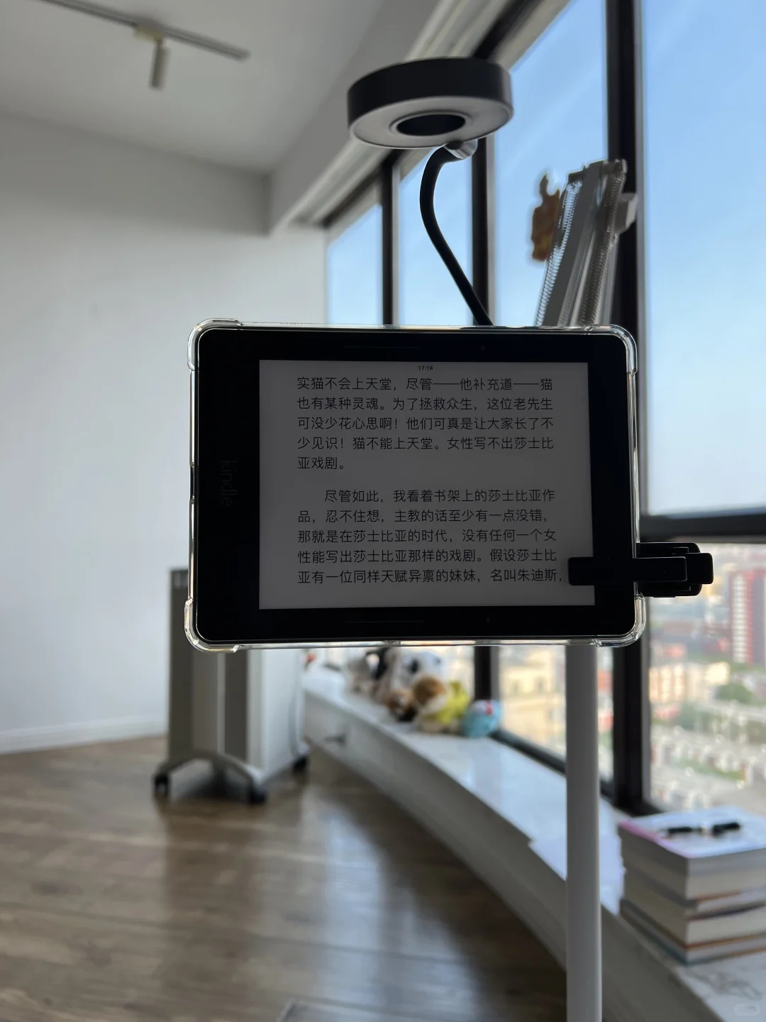 心流阅读体验 ✅