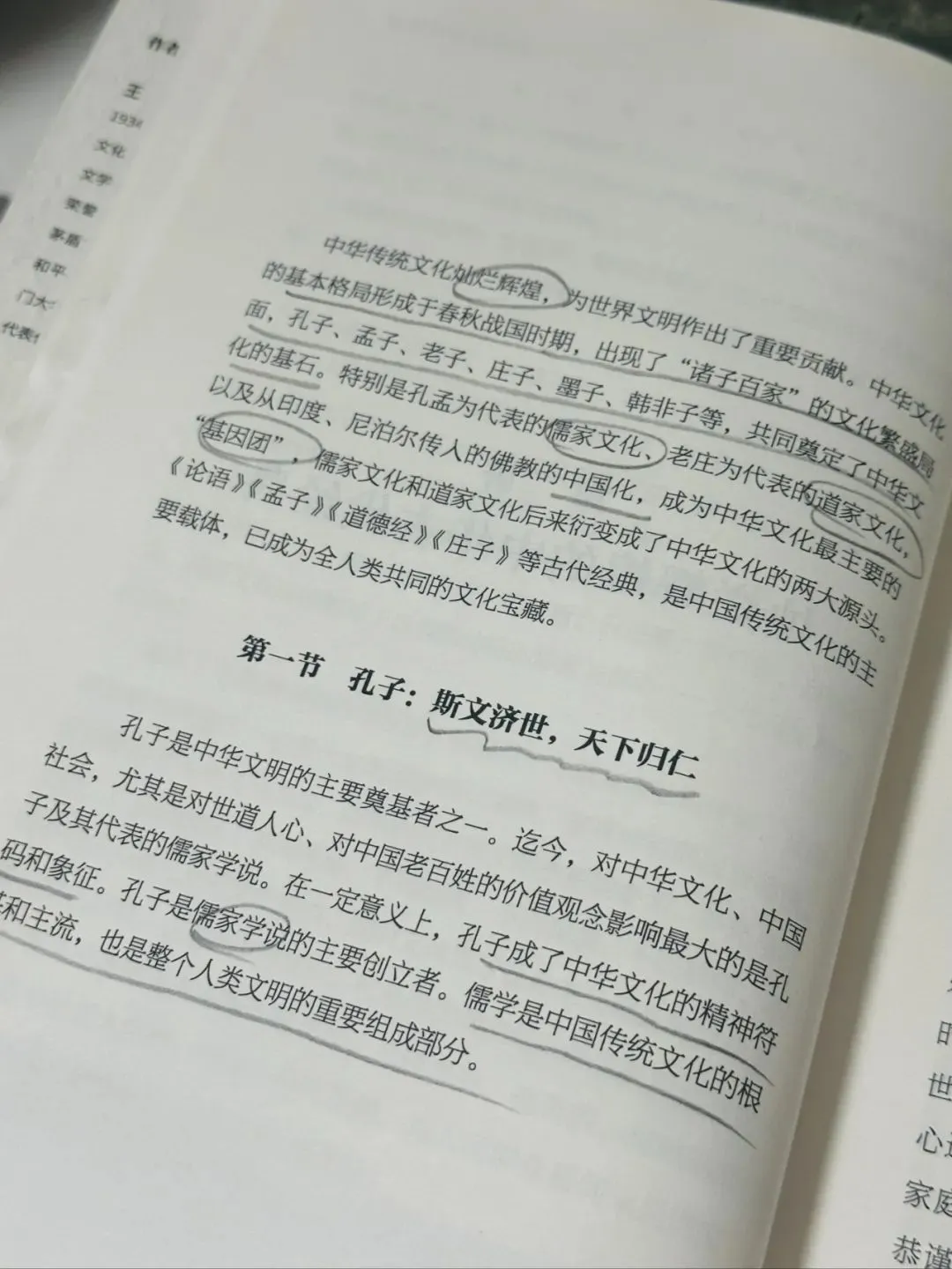 绝了！！得有多深厚的文化功底才能写出这书