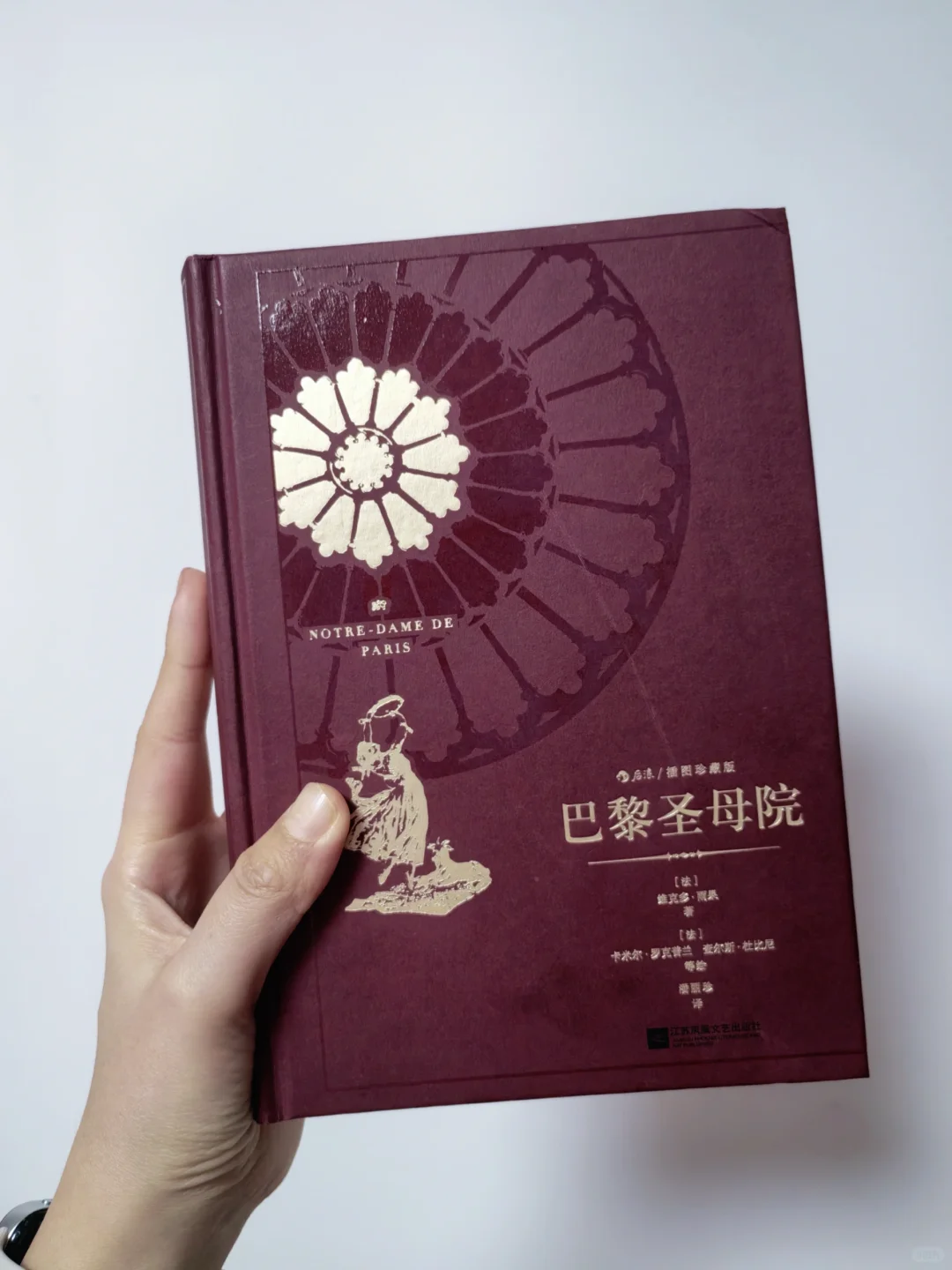 《巴黎圣母院》