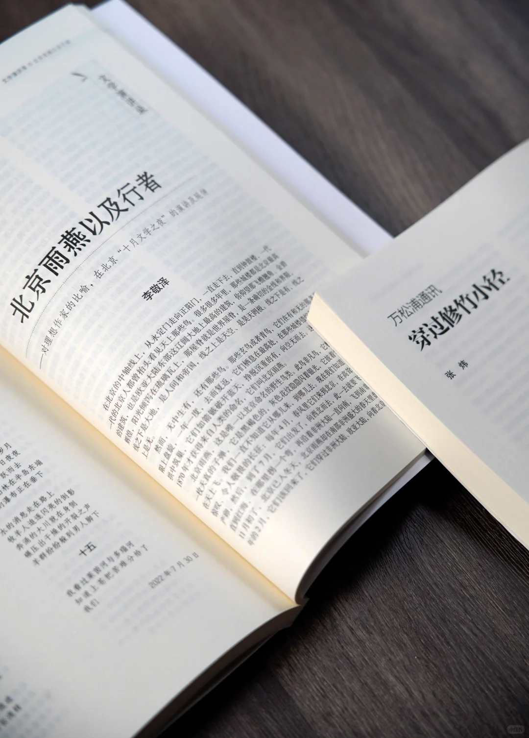 活动回顾|文学主题对谈：AI时代的文学书写