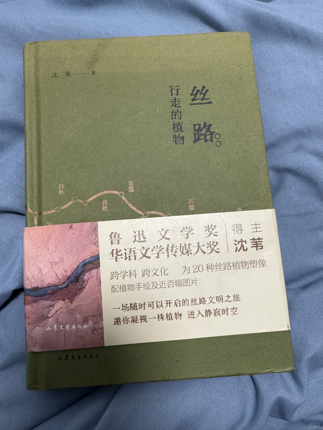 📖鲁迅文学奖获奖作品《丝路植物》read～