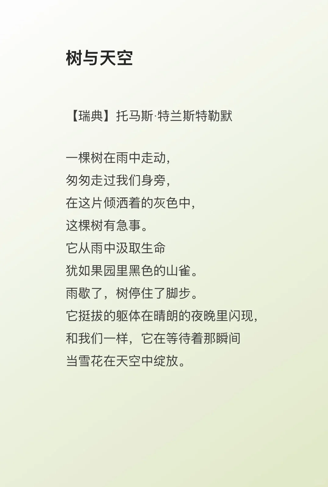 诺奖诗歌：特斯兰特勒默《树和天空》