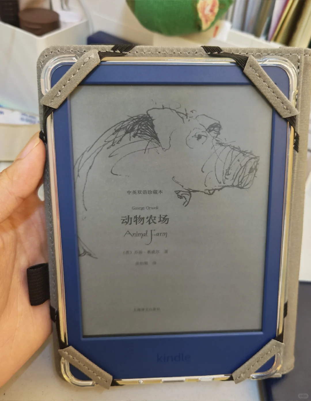 又入手一种电子产品