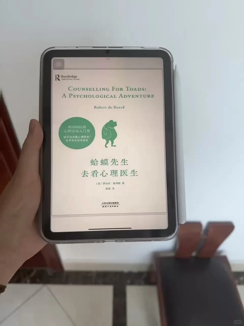 电子书资源太丰富了！ipad实现电子书自由
