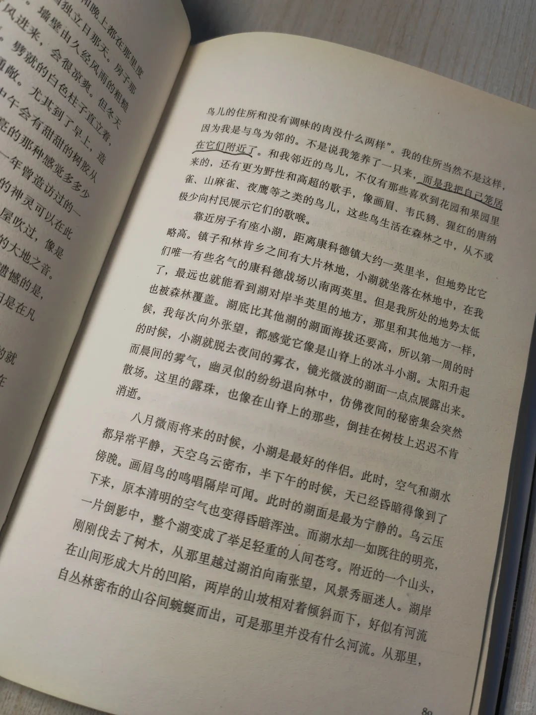 名著｜《瓦尔登湖》