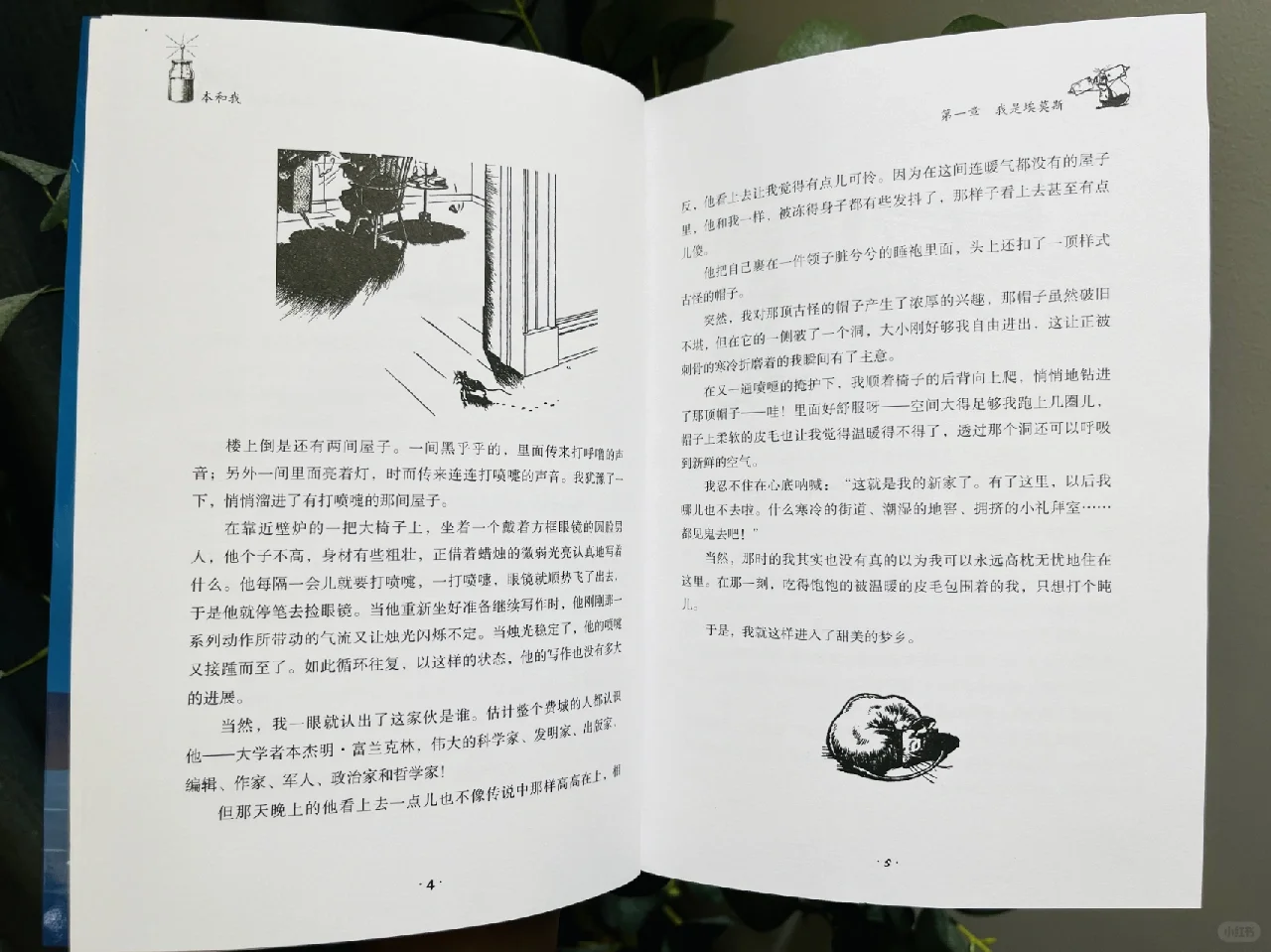《纽伯瑞儿童文学奖获奖作品》（5册）