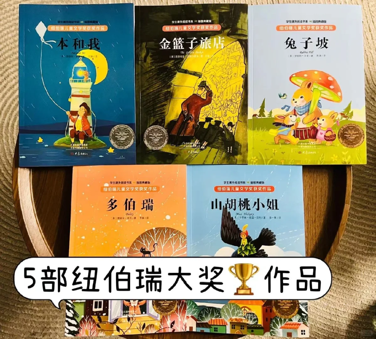 《纽伯瑞儿童文学奖获奖作品》（5册）