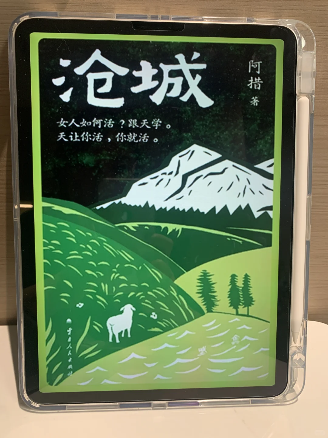 啊啊啊终于实现电子书自由了‼️