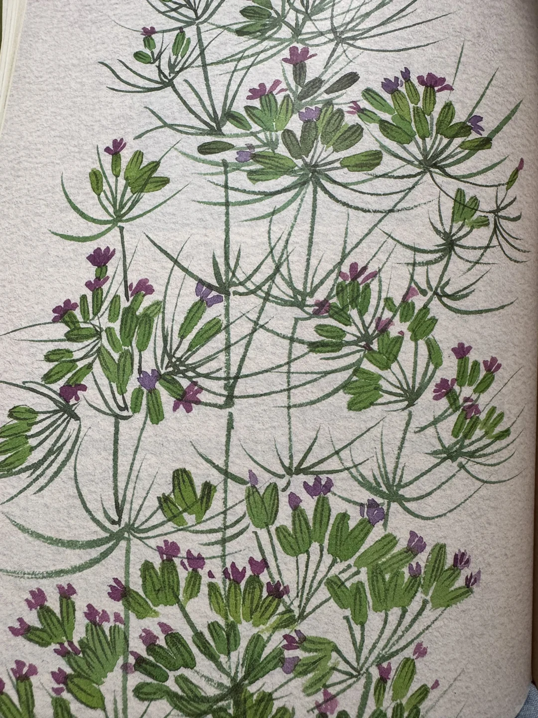 📖鲁迅文学奖获奖作品《丝路植物》read～