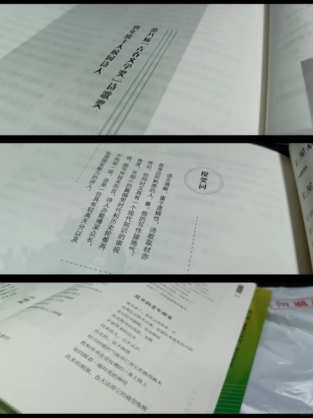 写诗两年，获得了青春文学奖【附作品】