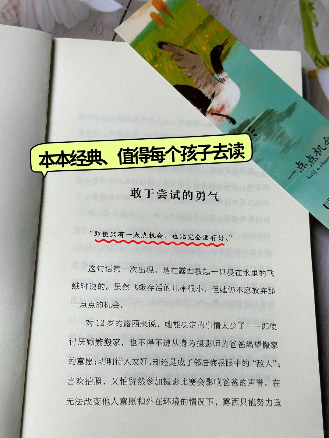 获奖的那些文学作品📚