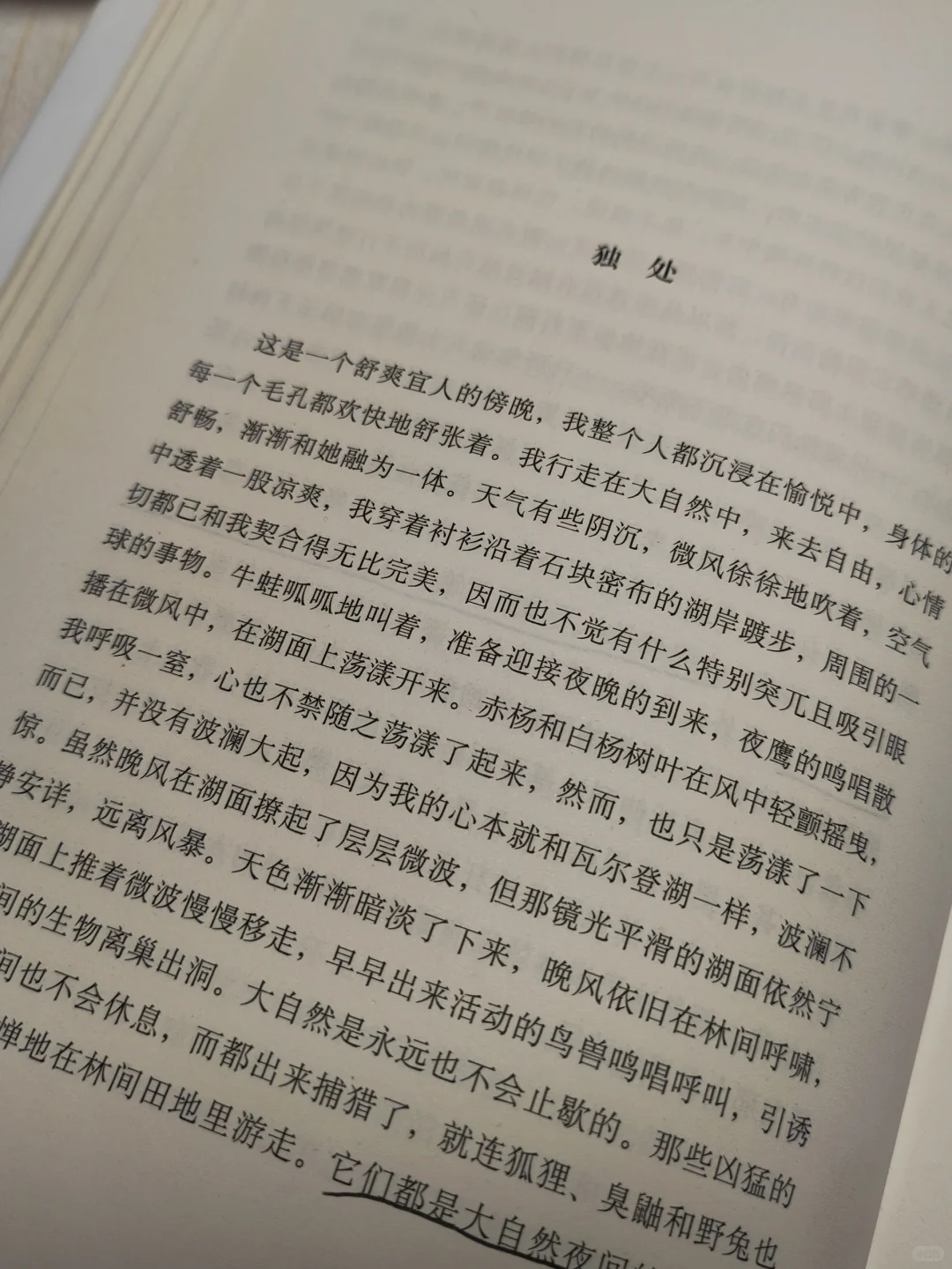 名著｜《瓦尔登湖》