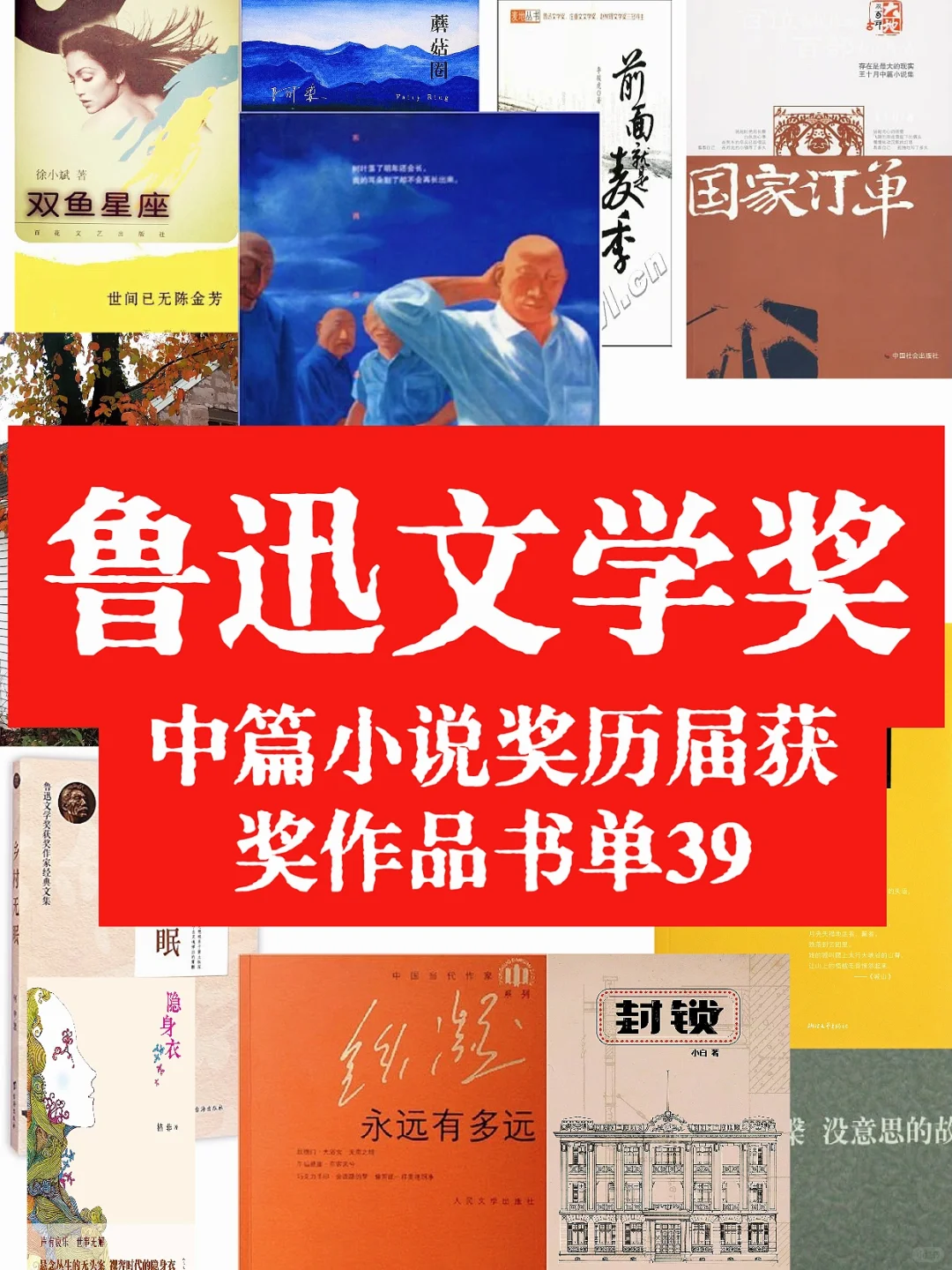 🔥鲁迅文学奖中篇小说奖🏆历届获奖作品书单