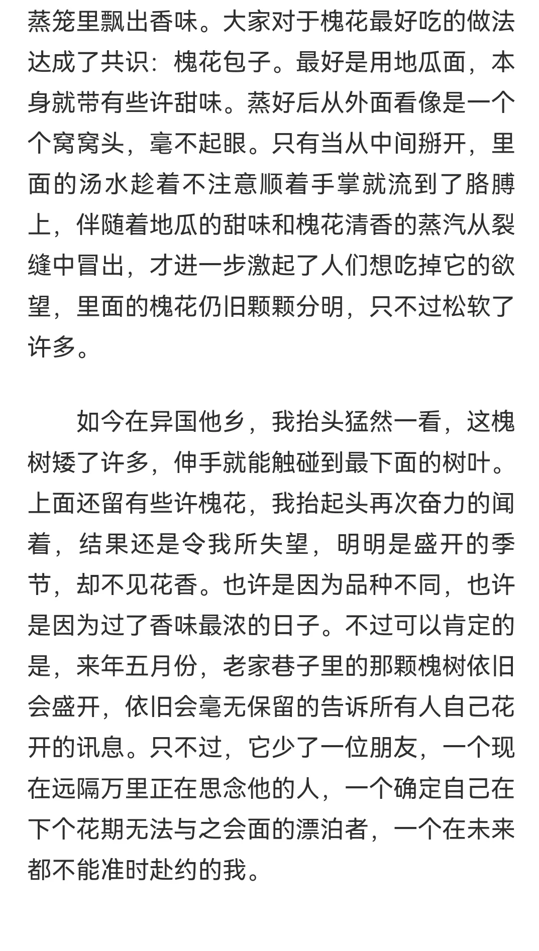 我！一等奖，嘿嘿(附作品）