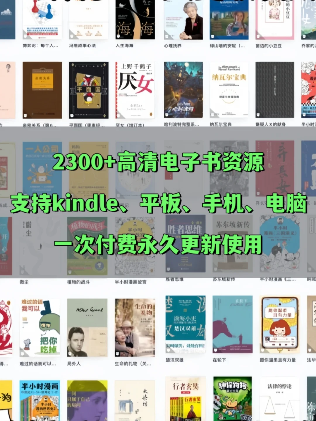 被同事介绍的电子书资源彻底惊艳到了