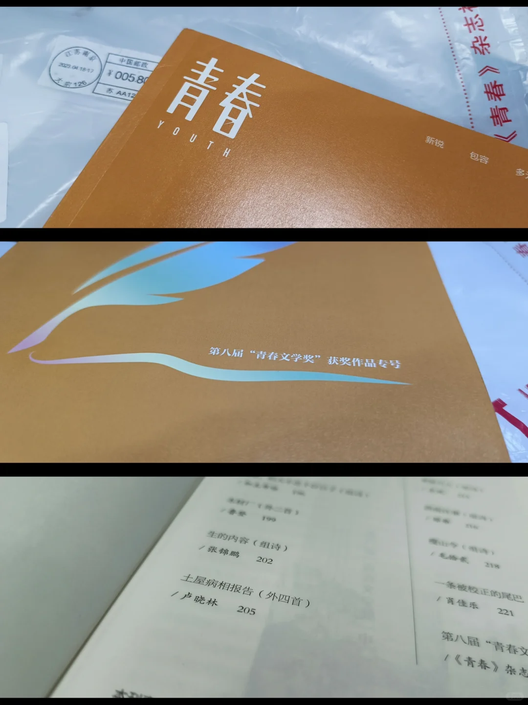 写诗两年，获得了青春文学奖【附作品】
