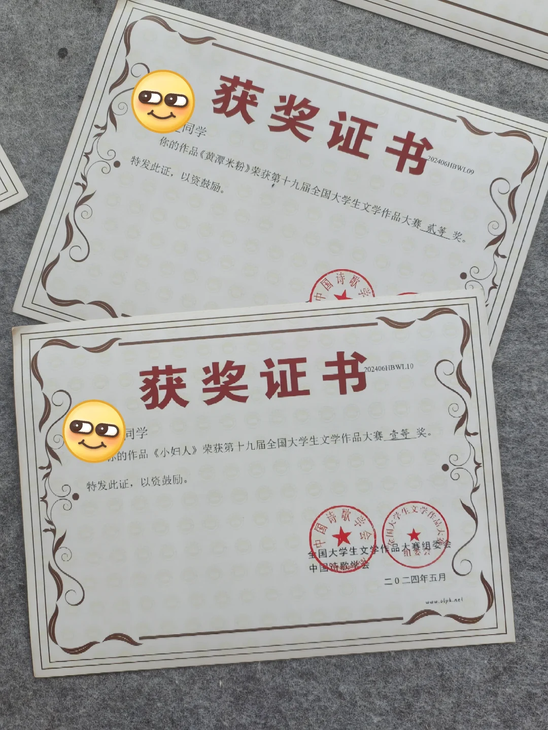 全国大学生文学作品大赛