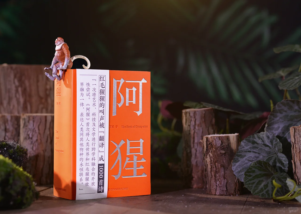 2024年中国最美的书获奖作品
