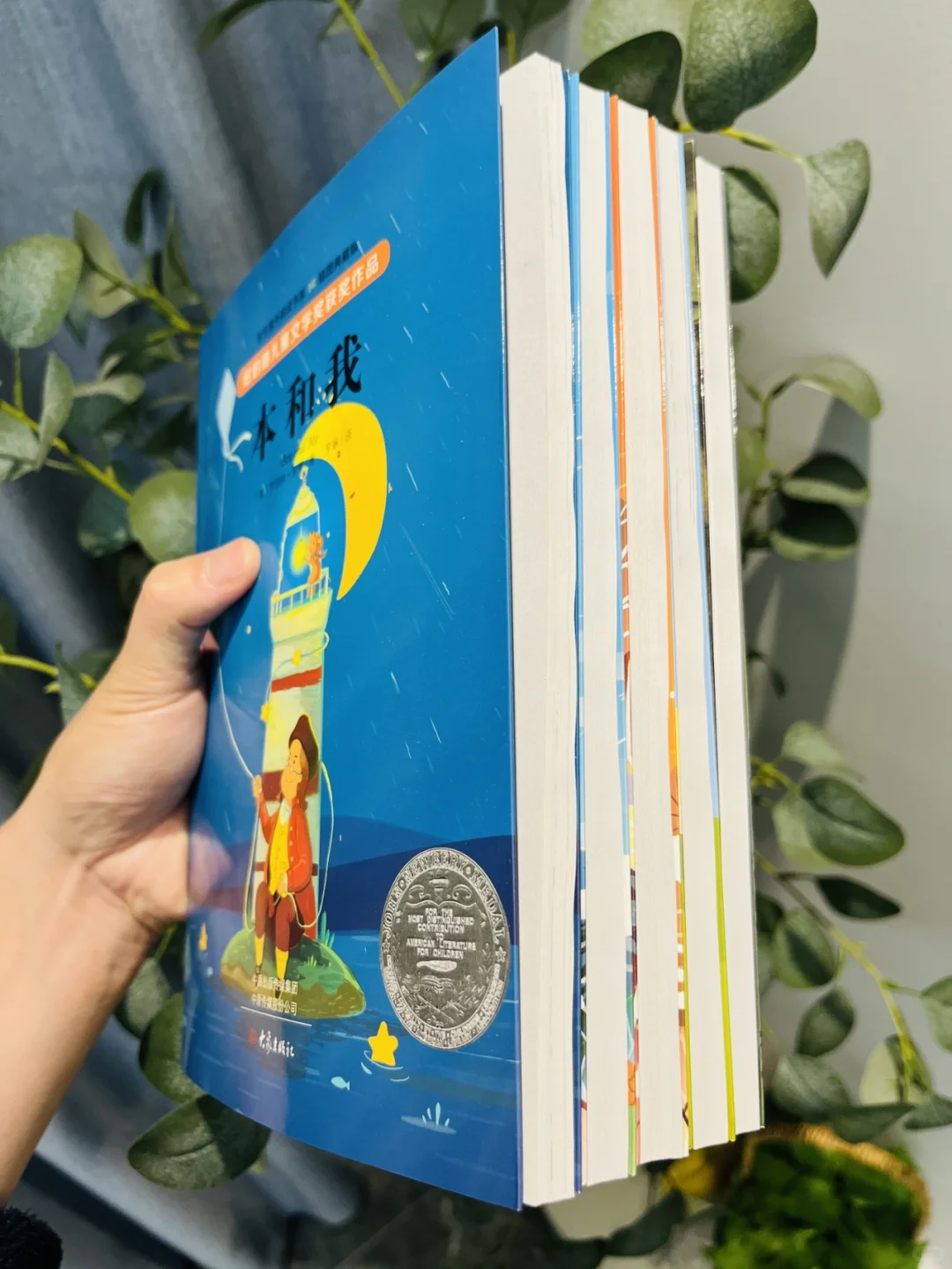 《纽伯瑞儿童文学奖获奖作品》（5册）