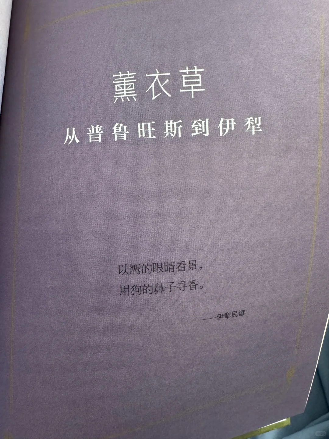 📖鲁迅文学奖获奖作品《丝路植物》read～