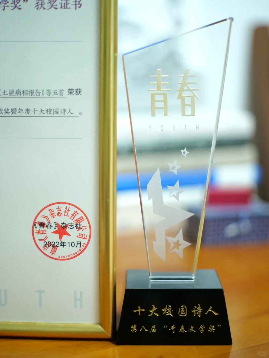 写诗两年，获得了青春文学奖【附作品】