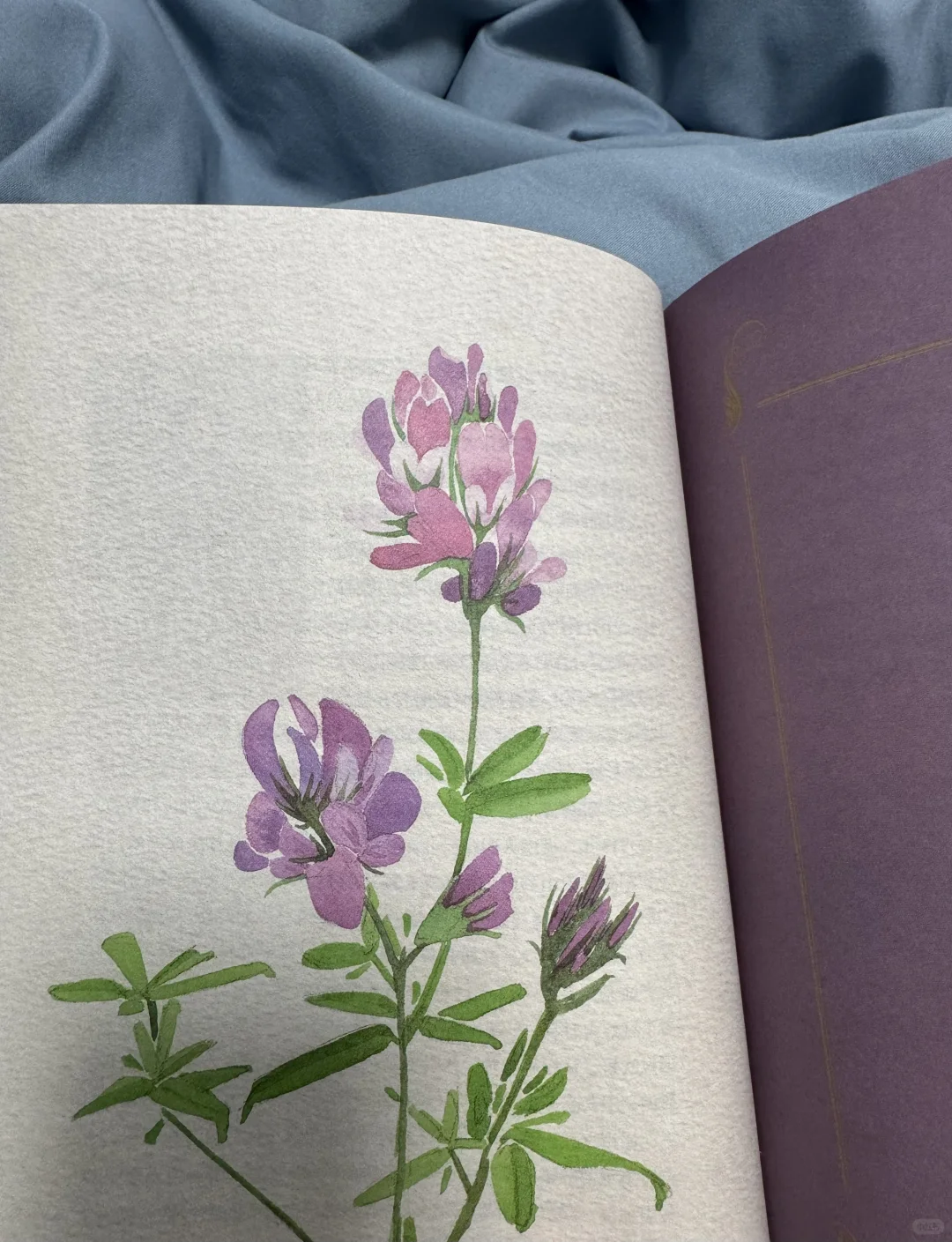 📖鲁迅文学奖获奖作品《丝路植物》read～