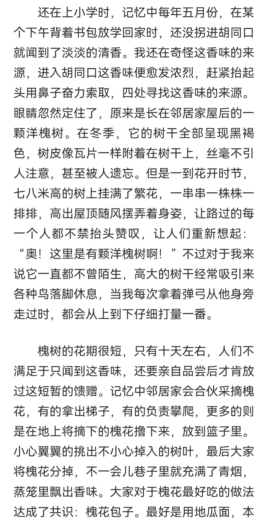 我！一等奖，嘿嘿(附作品）
