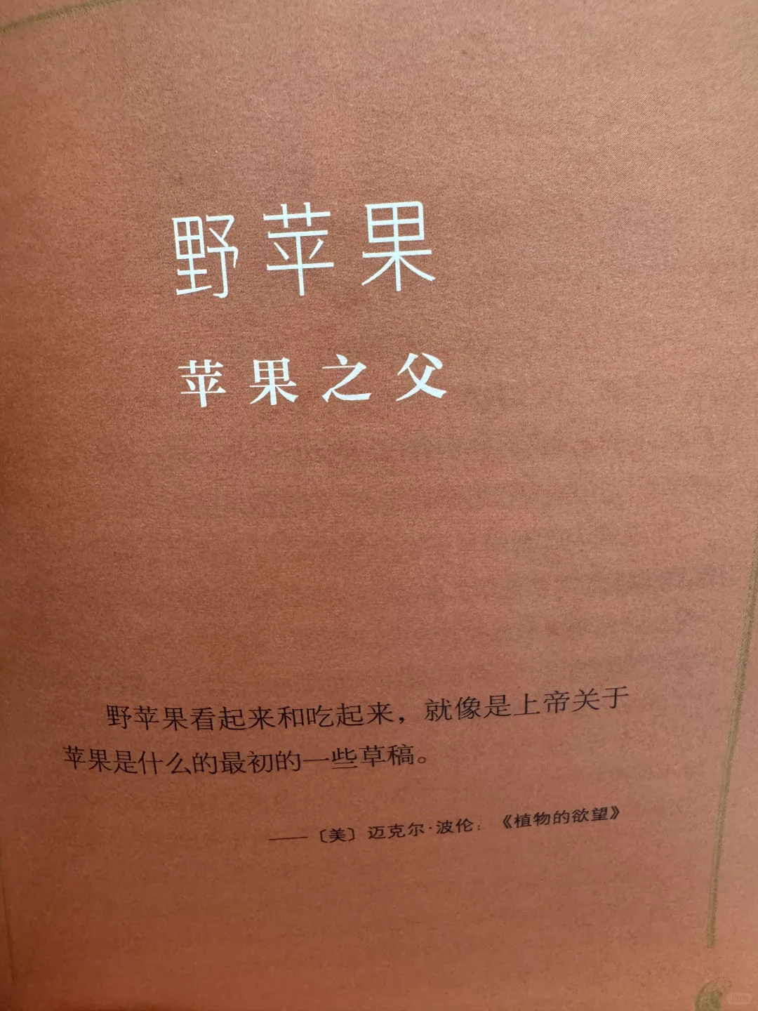 📖鲁迅文学奖获奖作品《丝路植物》read～