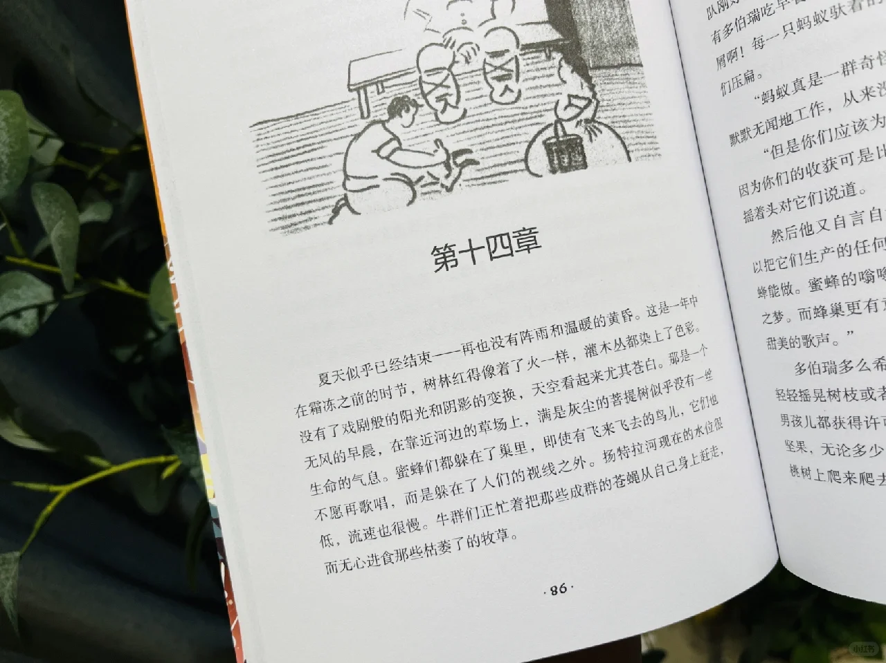 《纽伯瑞儿童文学奖获奖作品》（5册）