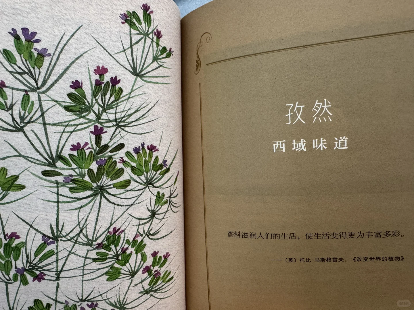📖鲁迅文学奖获奖作品《丝路植物》read～