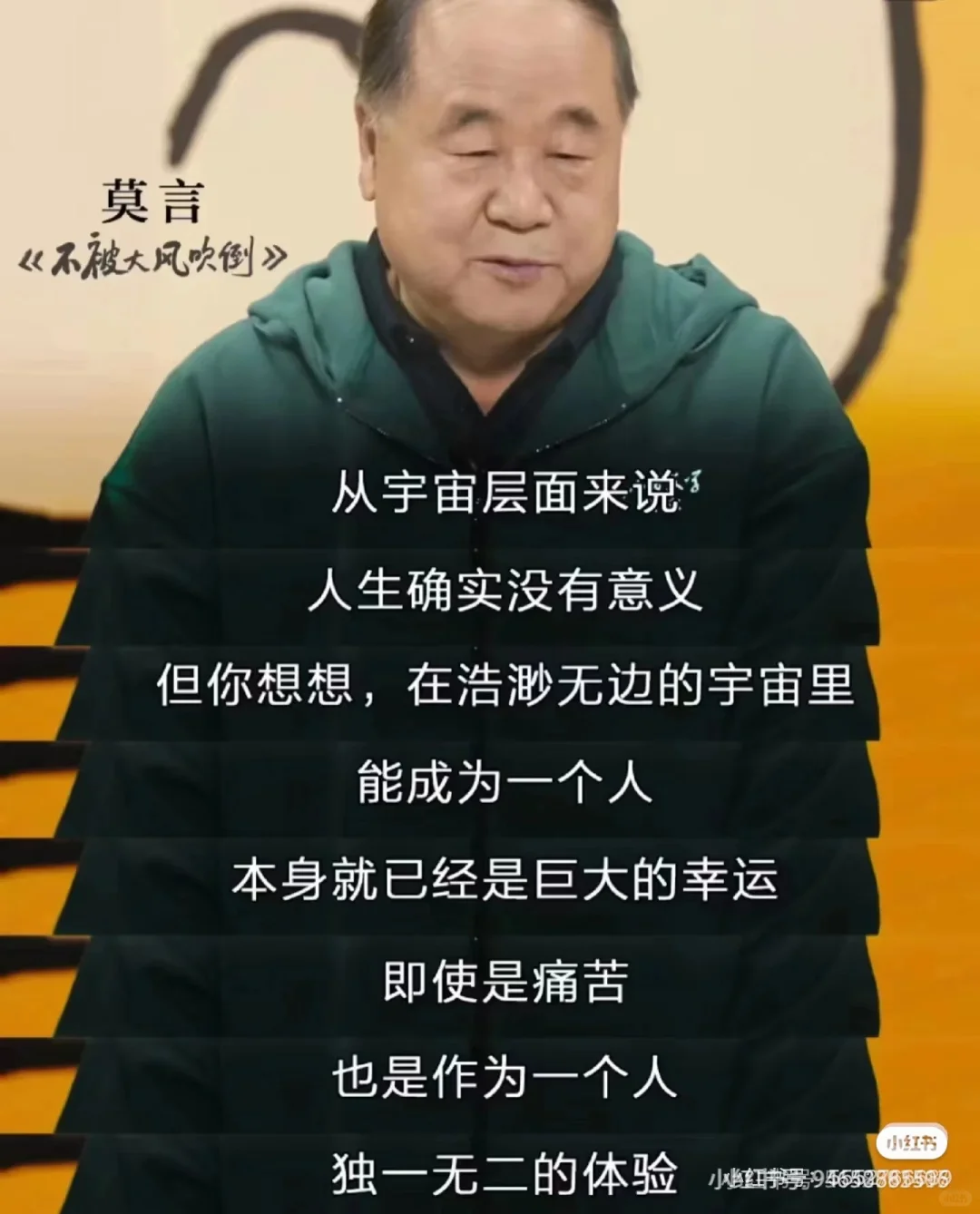 这俩故事竟让我爆哭
