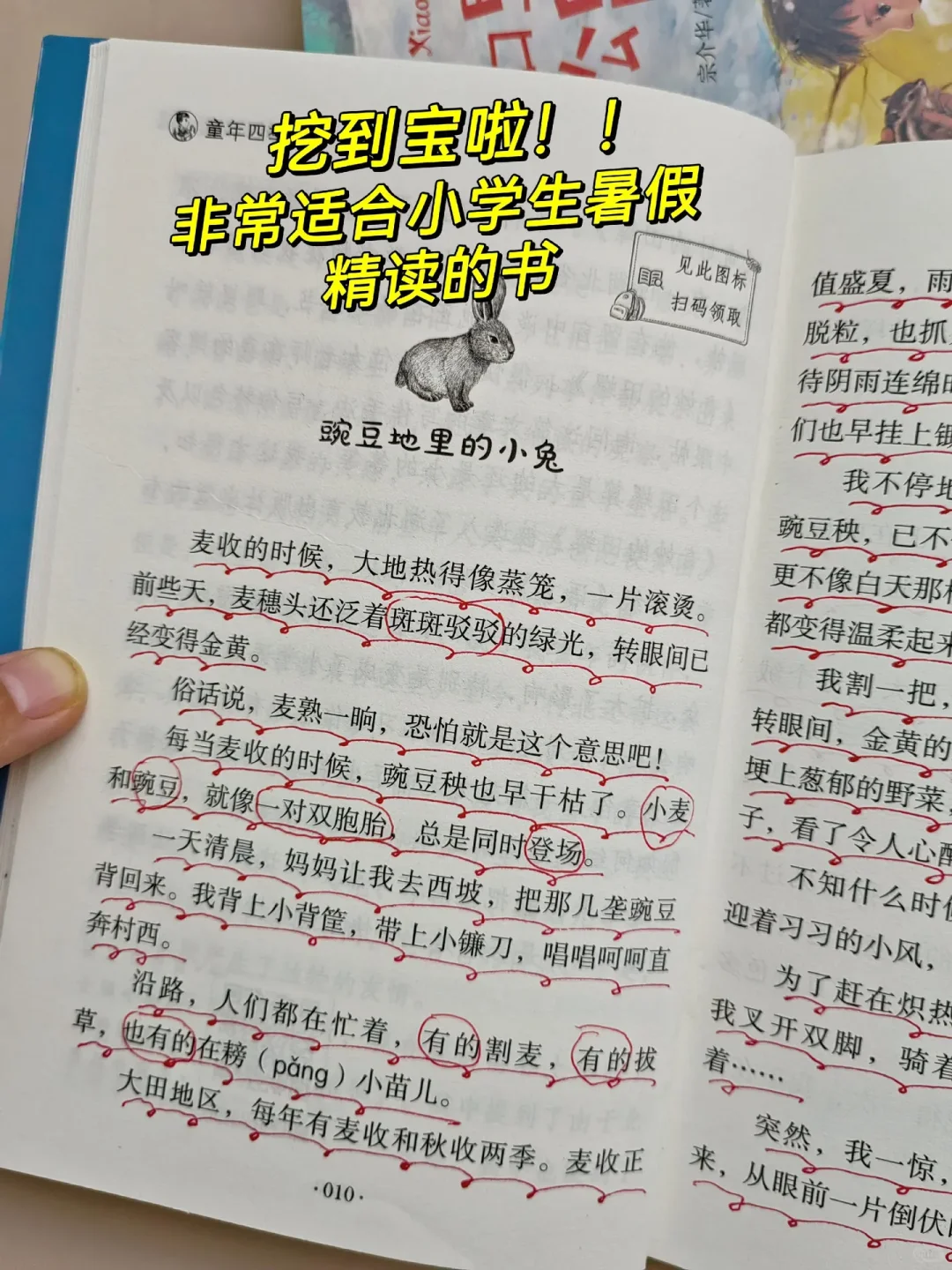 暑假精读，孩子写作飞跃！🎁