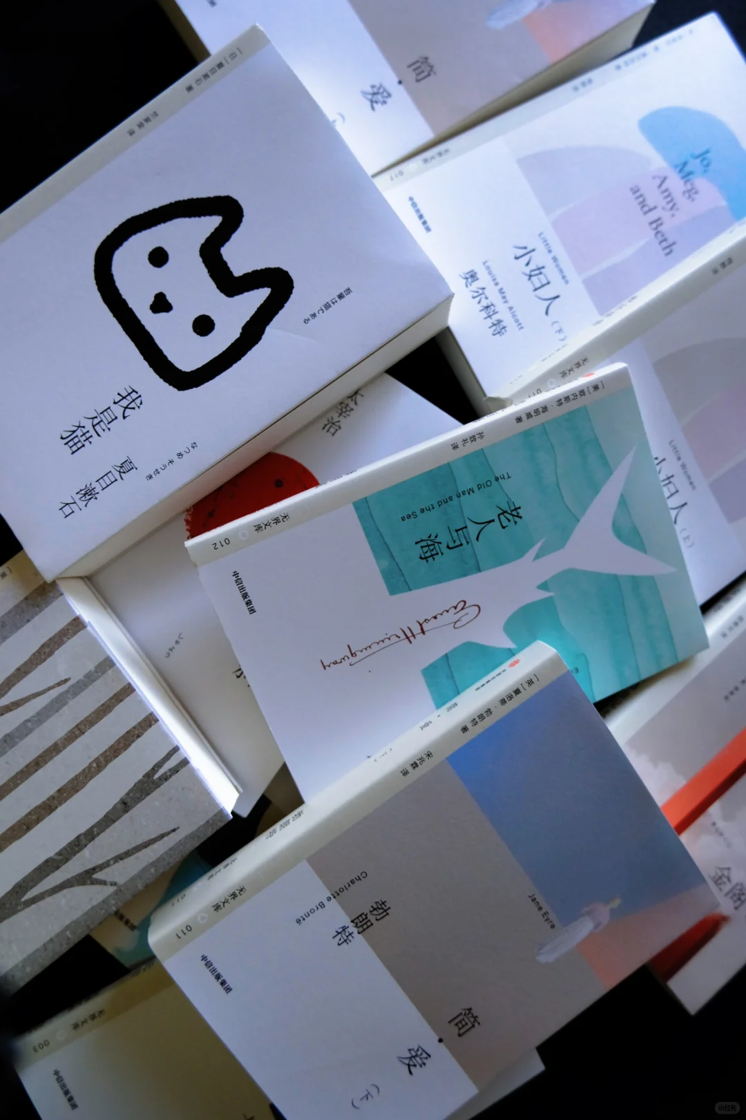 我发现 读经典文学真的可以长脑子