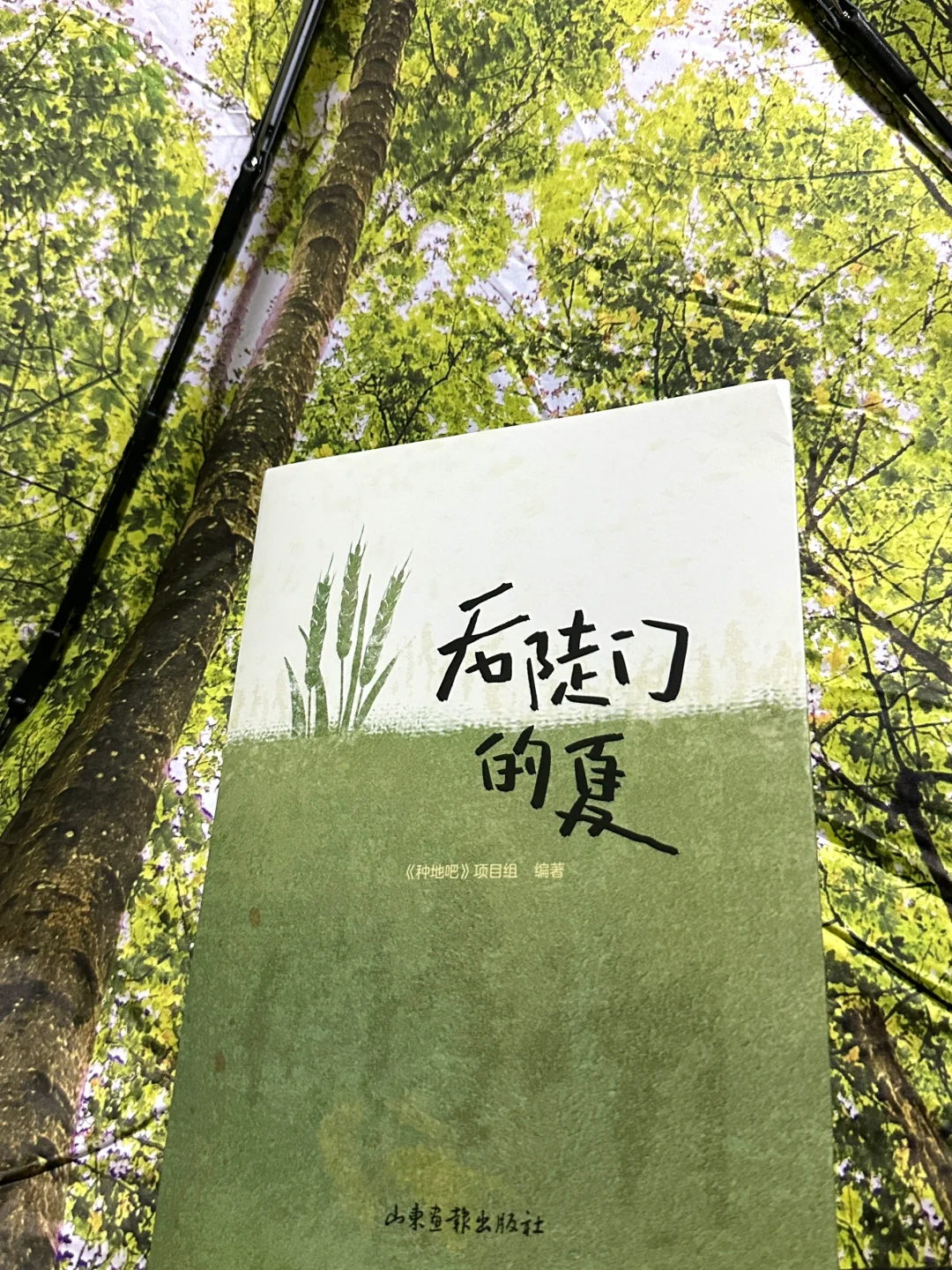 新年第一份礼物🌾