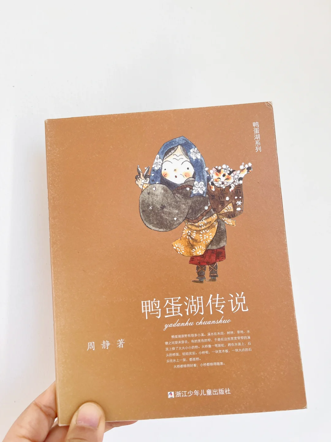强推《鸭蛋湖系列》，送给二年级娃提写作能力