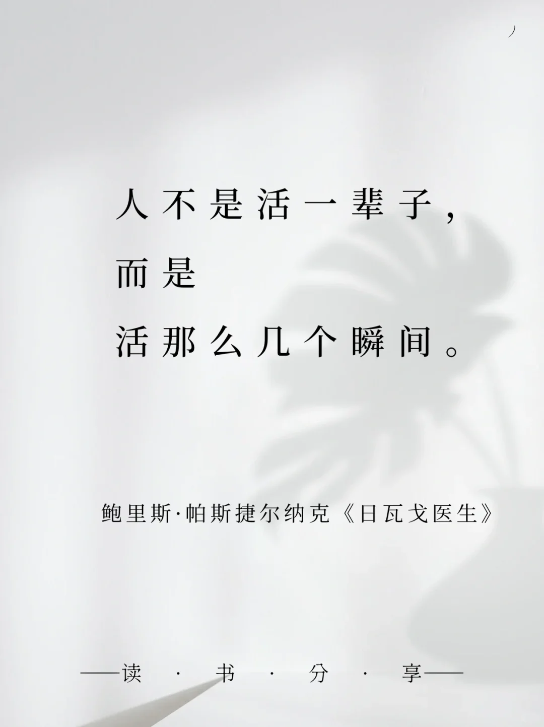 诺贝尔文学奖无法超越的封神名句